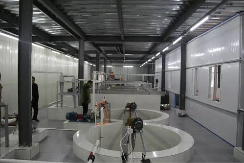 投資200多萬，竹溪首家藕粉加工廠帶動脫貧致富